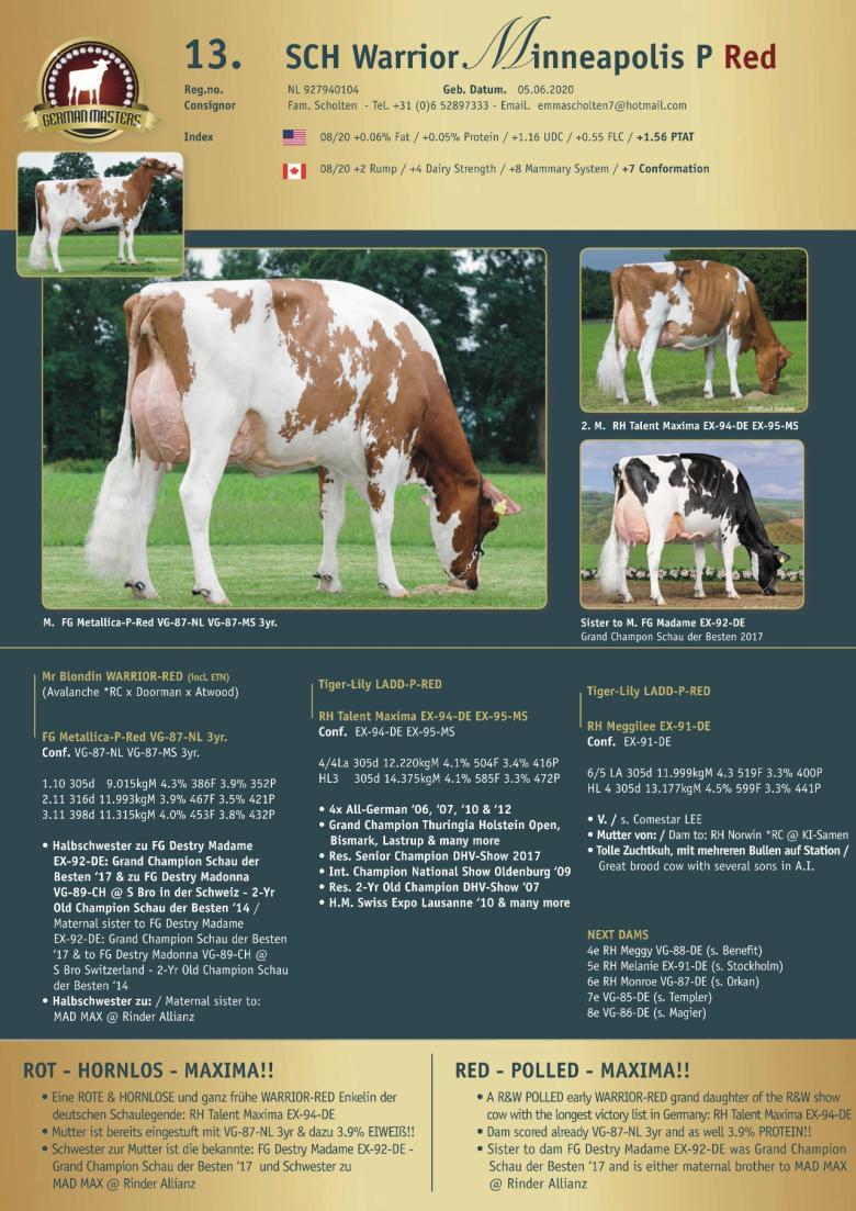 Datasheet for Lot 13. SCH Warrior Minneapolis P-Red |  OUT OF SALE