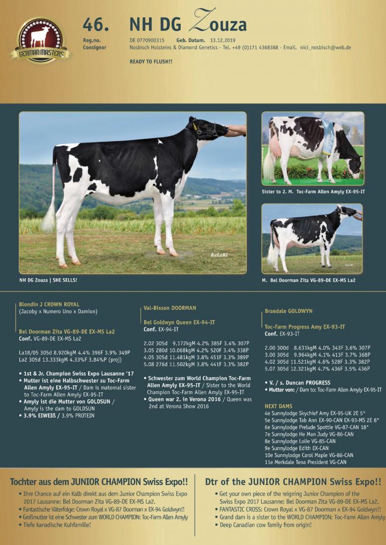 Datasheet for Lot 46. NH DG Zouza