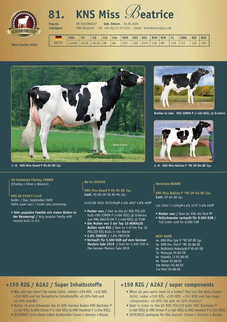 Datasheet for Lot 81. KNS Miss Beatrice